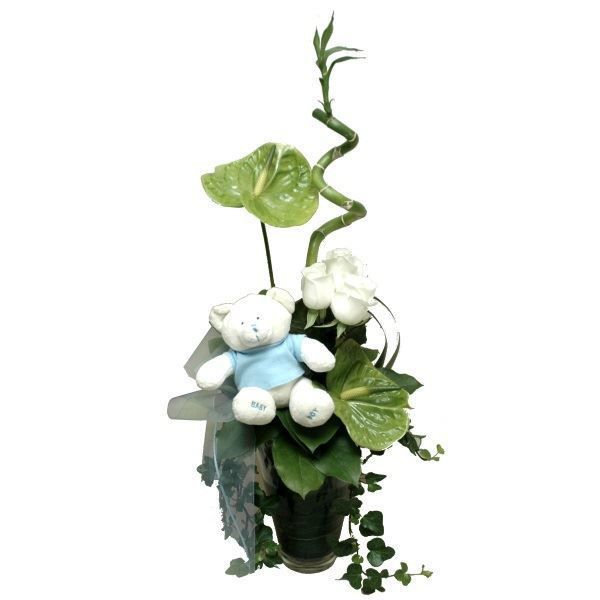 Picture of baby boy (nascimento bébé menino)