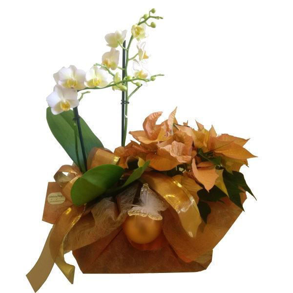 Imagem de NOITE FELIZ