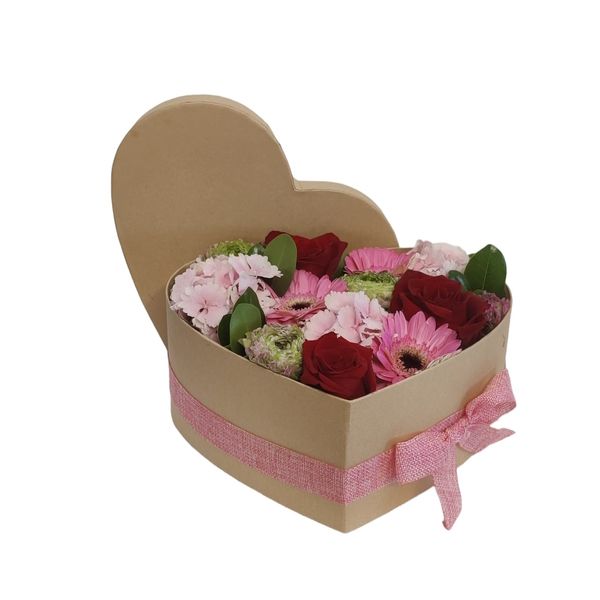 Imagem de coração de mãe