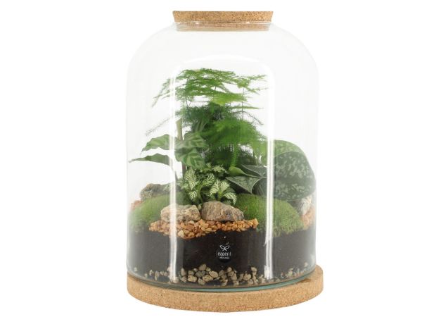 Picture of botanical collectables (XL)